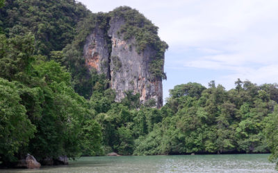 Second Paradise Koh Yao Survey