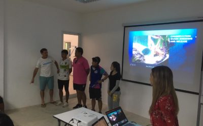 Blue Tree staff workshop