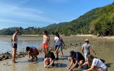 OFA Volunteers plant seagrass seeds at Paradise Koh Yao