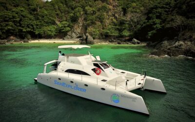 OFA conducts first dolphin survey for 2021