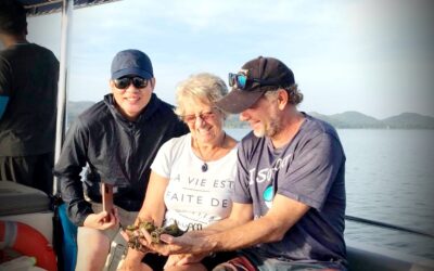 Sea Grass Seed Collection  at Paradise Koh Yao