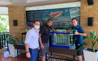 Second Seagrass Nursery station installed at Pullman Phuket Panwa