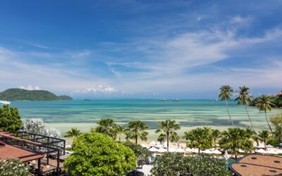 November update on the Mermaid Garden Project