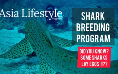 OFA featured in Asia Lifestyle Magazine