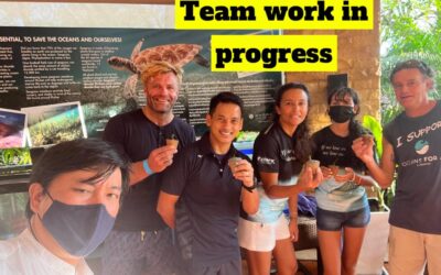 Seagrass seeds planted at Pullman Phuket Panwa Beach Resort