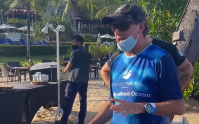 Pullman Beach Resort batch of seagrass seeds planted