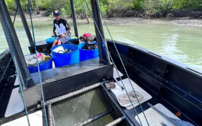 April update on License To Clean 001