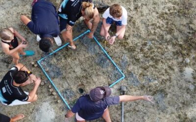 Successful OFA Seagrass Charity Day