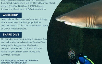 OFA’s Junior Marine Biology Course Launched