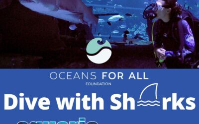 Dive with Sharks workshop at Aquaria Phuket launched by OFA