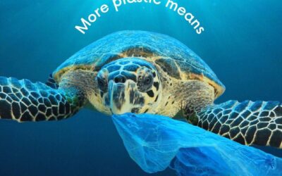 650l of trash removed from Mangrove channels around Phuket in one week