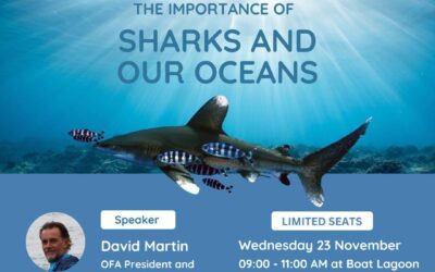 Free workshop on The Importance of Sharks and Our Oceans held at Boat Lagoon