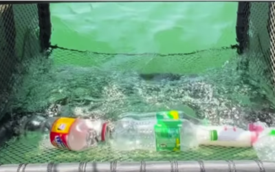 LTC 001 Update November 2022