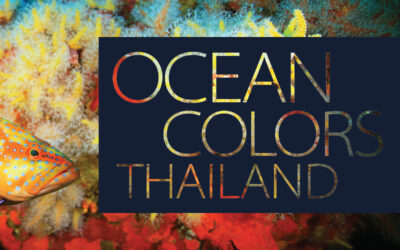 Ocean Colours of Thailand