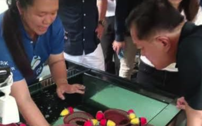 JW MArriott Khao Lak Resort & Spa and OFA host Shark Release