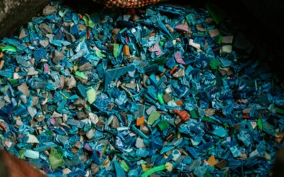 The Invisible Threat of Microplastics