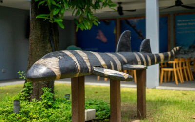 A recap of the Oceans For All Foundation and JW Marriott Khao Lak partnership