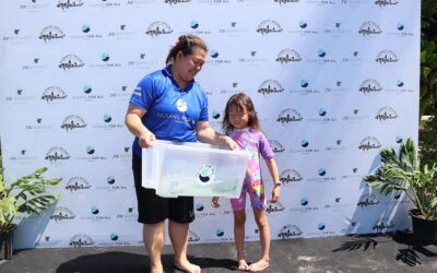 Art, Action, and a New Beginning in the Andaman