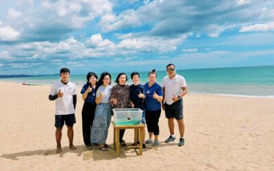 Restoring the Andaman Reefs: Shark Release with JW Marriott Khao Lak Resort & Spa
