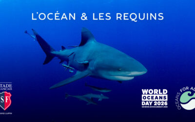 David Martin Addresses Paris Conference for World Oceans Day