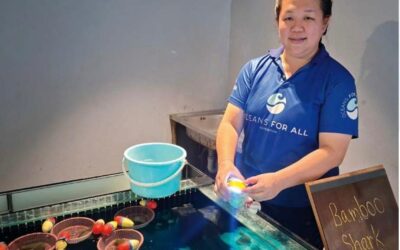 Inside the JW Marriott Khao Lak Shark Nursery with Khun Ying